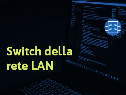 Switch rete lan